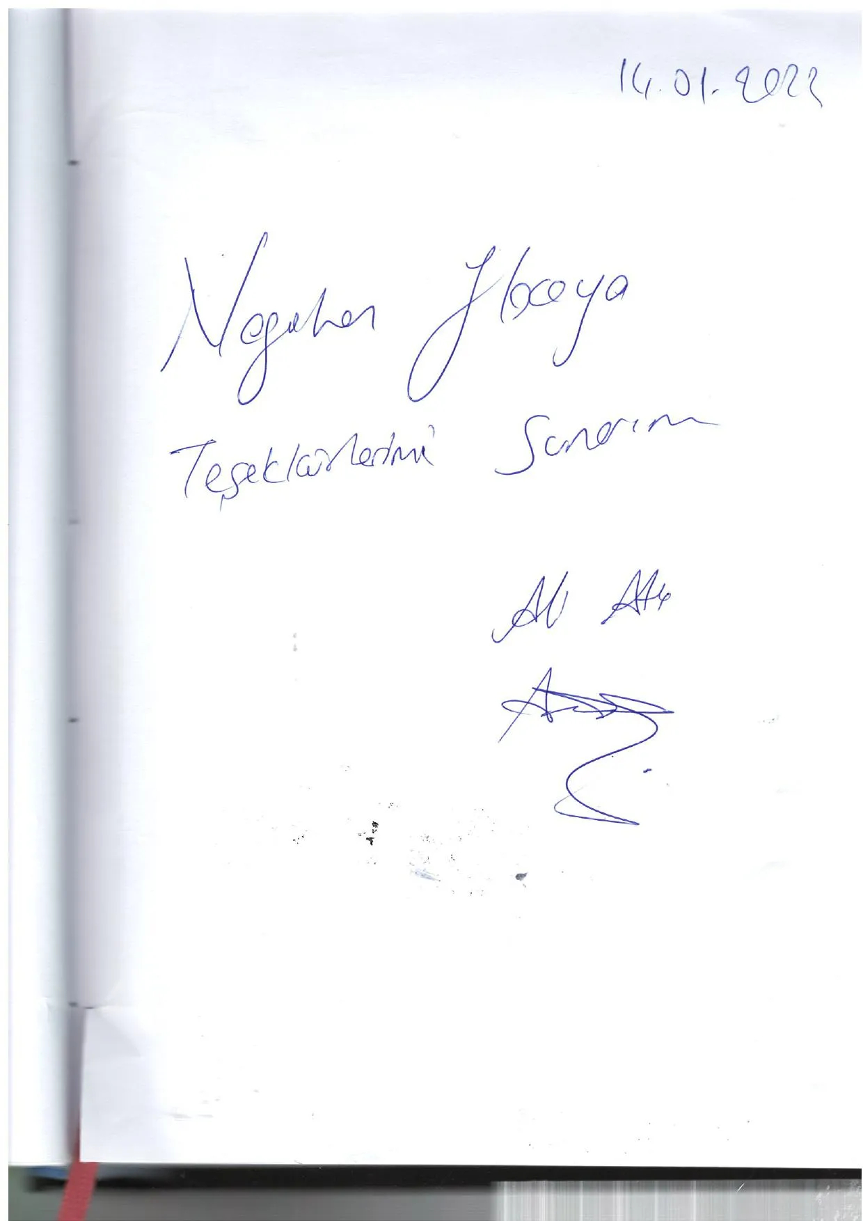 Prof. Dr. Şahnur Keçeci